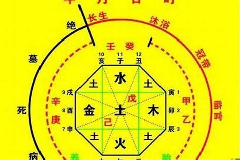 剪刀柄命格|八字中的鐵掃帚 